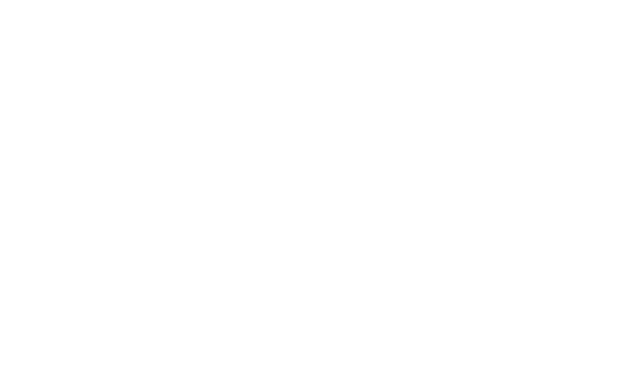 DLN MobilOrdre
